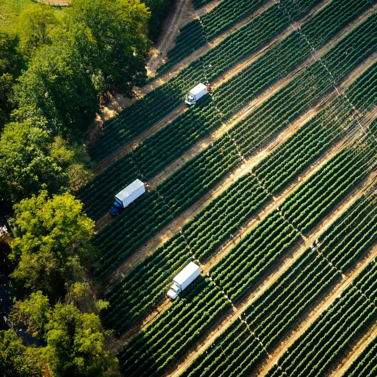 Agriculture